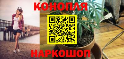кокс Можга